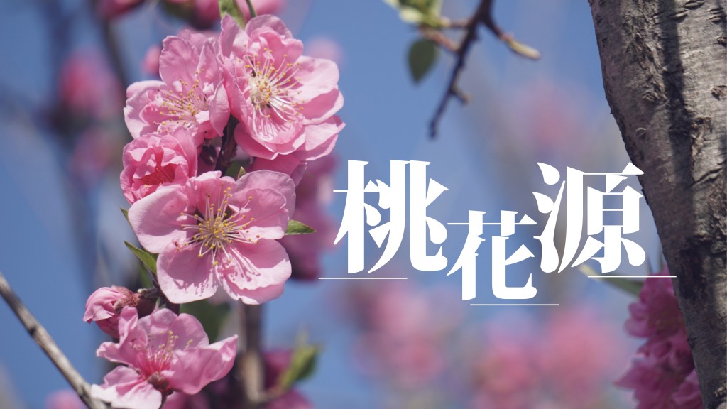 陶杰 - 向苹果开战｜桃花源