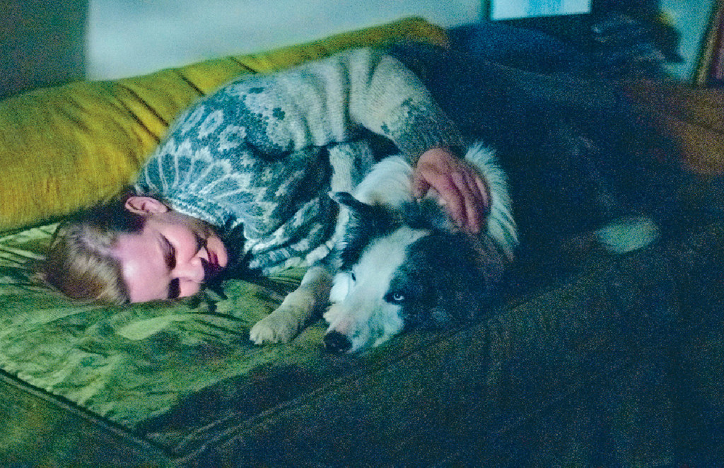 狗狗好戏■「金棕榈狗狗奖」是专门表扬在电影里表现优异的狗演员,恭喜Messi。 狗狗好戏■「金棕榈狗狗奖」是专门表扬在电影里表现优异的狗演员,恭喜Messi。