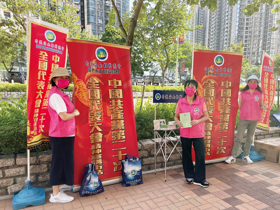 新界东南区委员会
