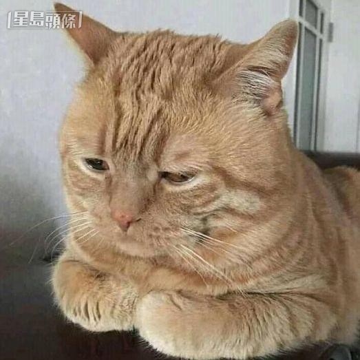 Caption_1+ 左上平透水印